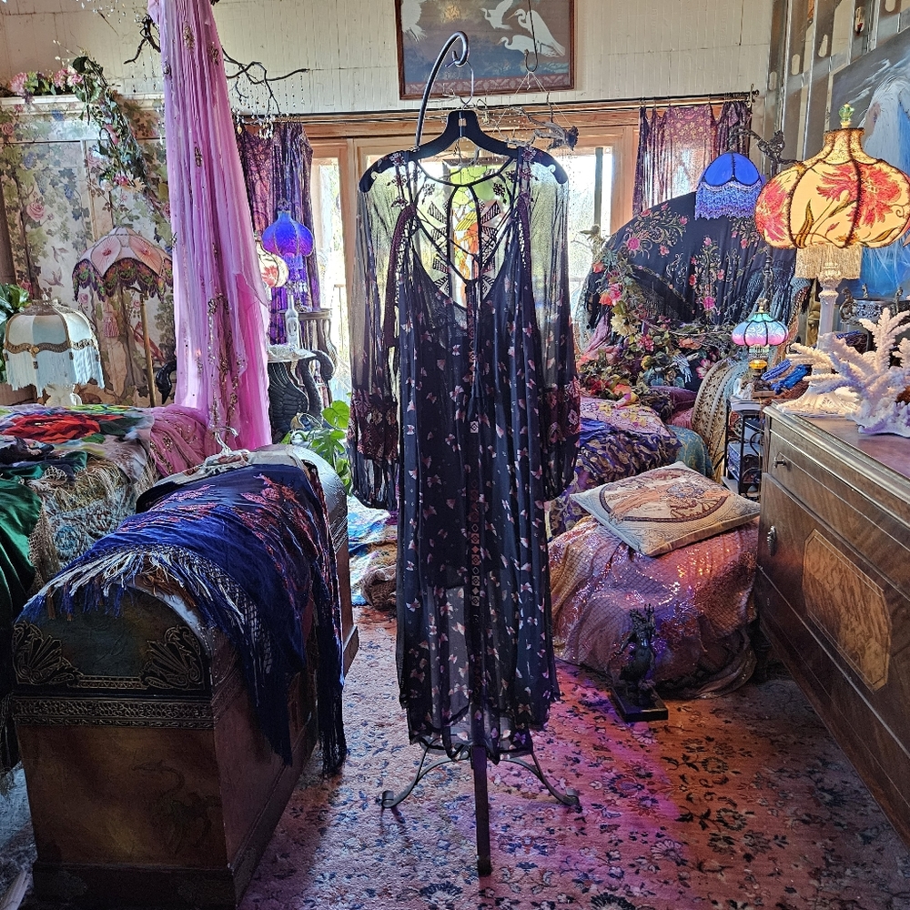 NWT FREEPEOPLE SHEER MAXI DRESS & SLIP